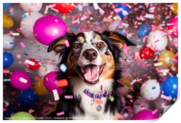 A super happy dog on his birthday, surrounded by c Print by Joaquin Corbalan