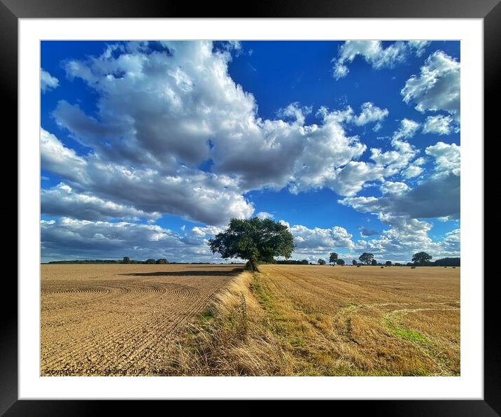 Big Skies of Norfolk with Tree Framed Mounted Print by Chris Spalton
