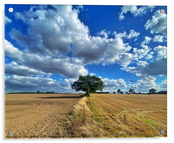 Big Skies of Norfolk with Tree Acrylic by Chris Spalton
