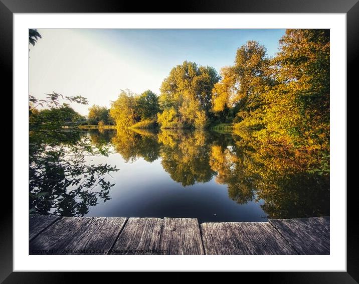 Trees reflected in lake with boardwalk Framed Mounted Print by Chris Spalton