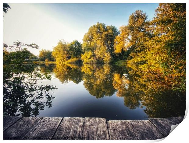 Trees reflected in lake with boardwalk Print by Chris Spalton