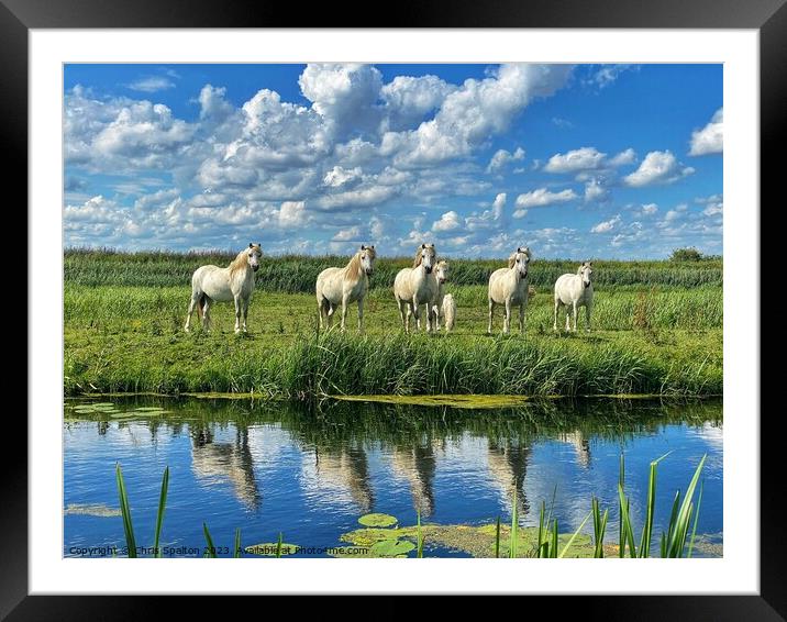 Horses on a Riverbank Framed Mounted Print by Chris Spalton