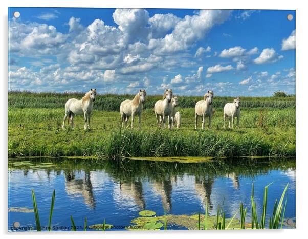 Horses on a Riverbank Acrylic by Chris Spalton
