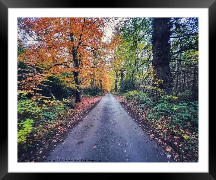 Country road in Autumn Framed Mounted Print by Chris Spalton