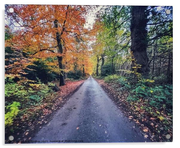 Country road in Autumn Acrylic by Chris Spalton