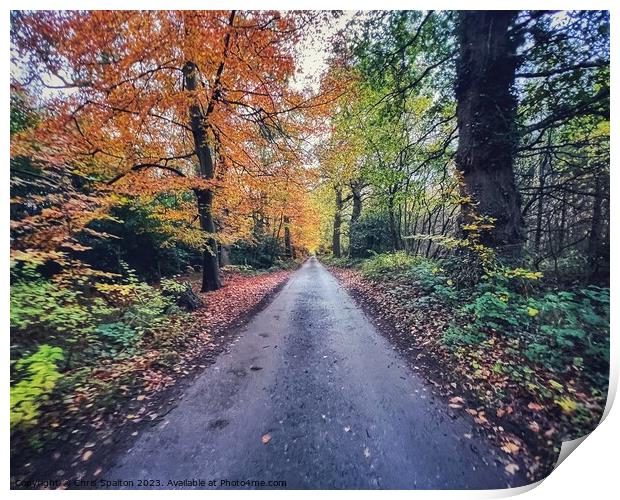 Country road in Autumn Print by Chris Spalton