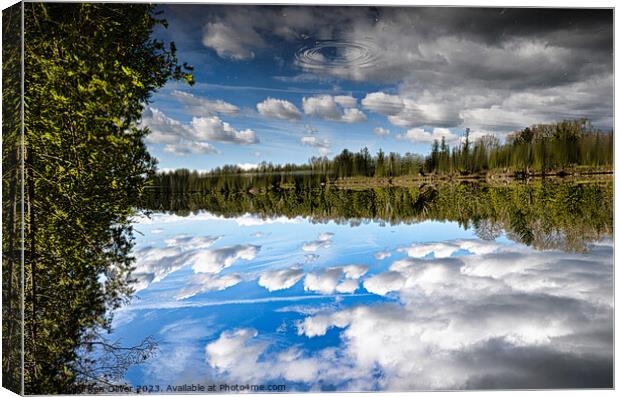 "Ethereal Reflections: A Captivating Glimpse" Canvas Print by Ken Oliver