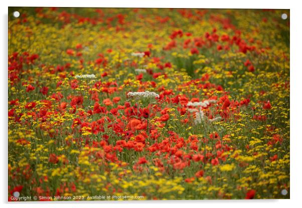 Outdoor field Acrylic by Simon Johnson