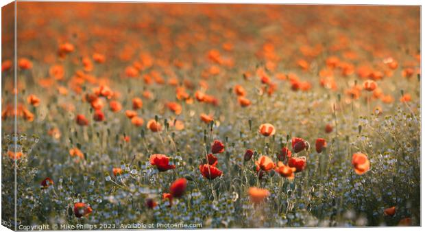 Poppy meadow Canvas Print by Mike Phillips