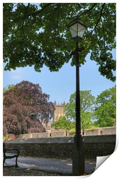 Views of wells cathedral in the summer shade Print by Tony lopez