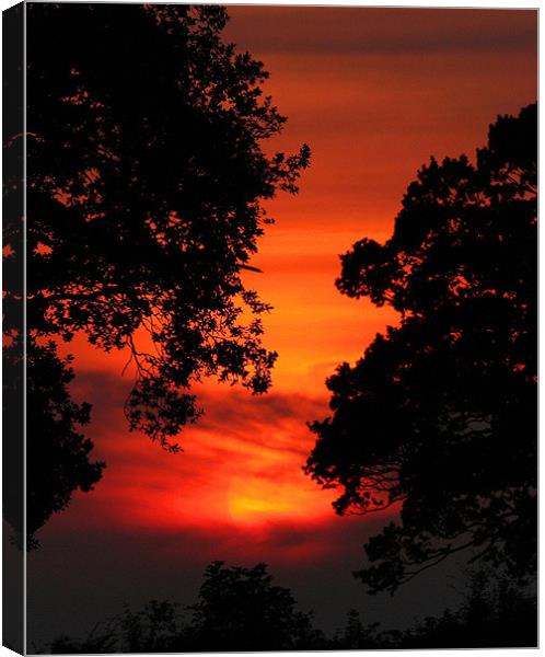 Sunset Between The trees Canvas Print by Mike Gorton