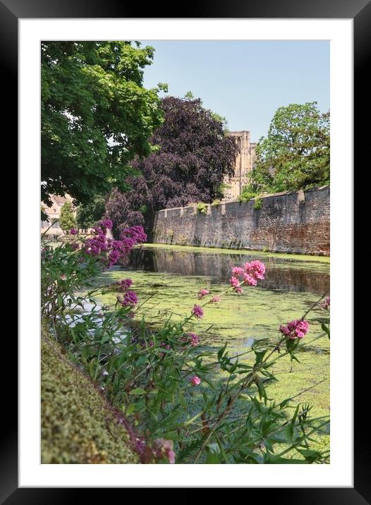 Wells cathedral in the afternoon sun  Framed Mounted Print by Tony lopez