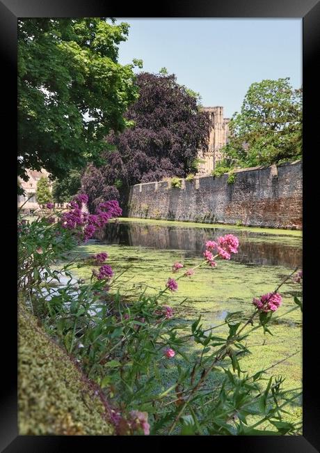 Wells cathedral in the afternoon sun  Framed Print by Tony lopez