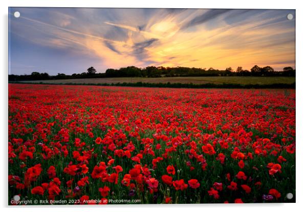Poppy Sunset Acrylic by Rick Bowden