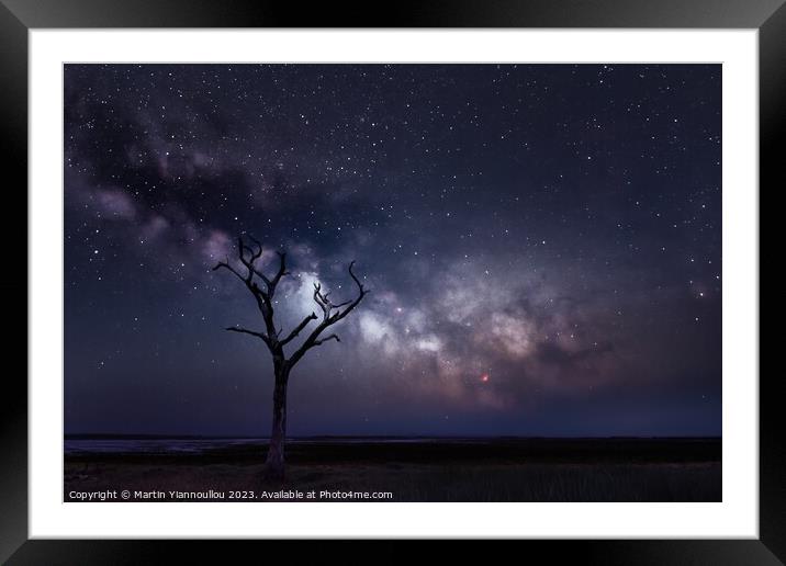 A Silent Tree Framed Mounted Print by Martin Yiannoullou