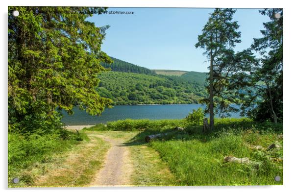 Part of the Talybont Reservoir in the Brecon Beacons Acrylic by Nick Jenkins