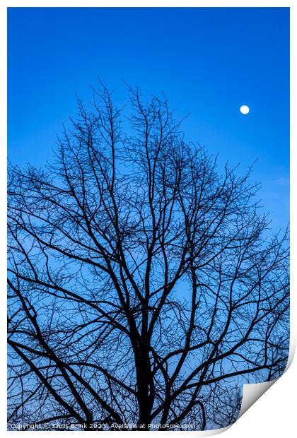 Bare tree at dusk with full moon Print by Chris Brink