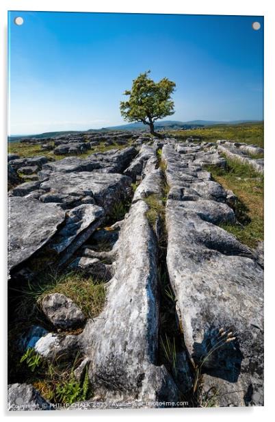Lone tree in limestone 903  Acrylic by PHILIP CHALK