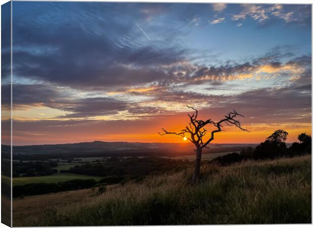 "Enchanting Sunset: A Serene Journey through Natur Canvas Print by Mel RJ Smith
