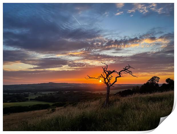 "Enchanting Sunset: A Serene Journey through Natur Print by Mel RJ Smith