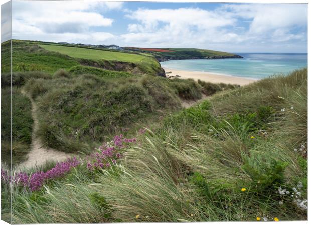 Serene Summer Seascapes Canvas Print by Tony Twyman