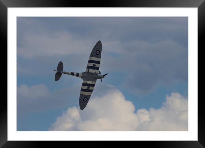 Spitfire in Flight Framed Mounted Print by Glen Allen