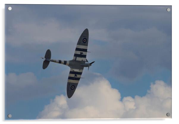 Spitfire in Flight Acrylic by Glen Allen