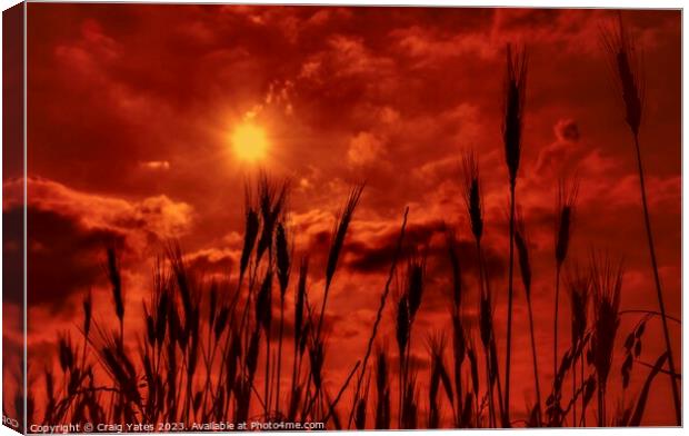 Orange Sunny Sky Canvas Print by Craig Yates
