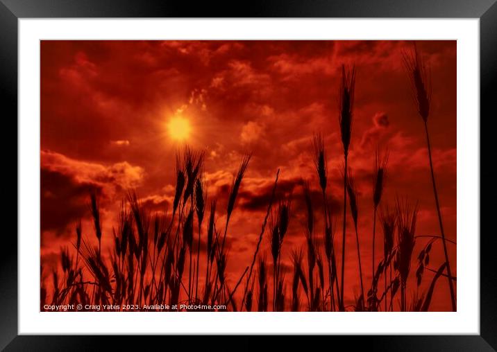 Orange Sunny Sky Framed Mounted Print by Craig Yates