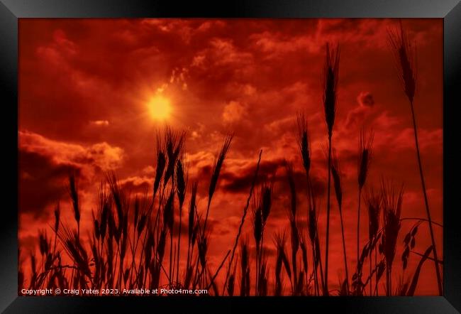 Orange Sunny Sky Framed Print by Craig Yates