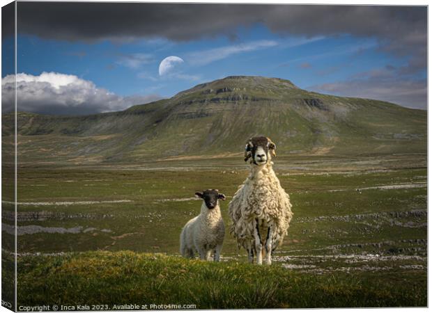 The Sentinels of the Yorkshire Dales Canvas Print by Inca Kala