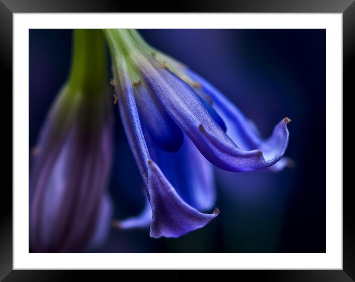 Bluebell Closeup Framed Mounted Print by Steve Smith