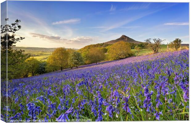 Bluebells Bloom on Roseberry Topping Canvas Print by Ian Flanagan