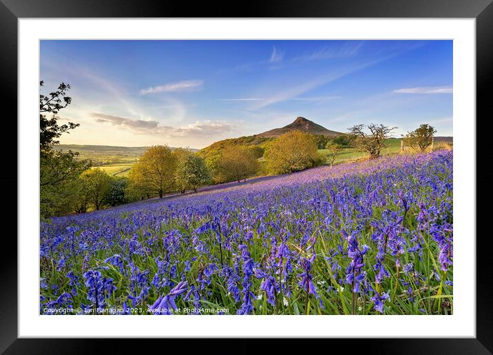 Bluebells Bloom on Roseberry Topping Framed Mounted Print by Ian Flanagan