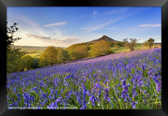 Bluebells Bloom on Roseberry Topping Framed Print by Ian Flanagan