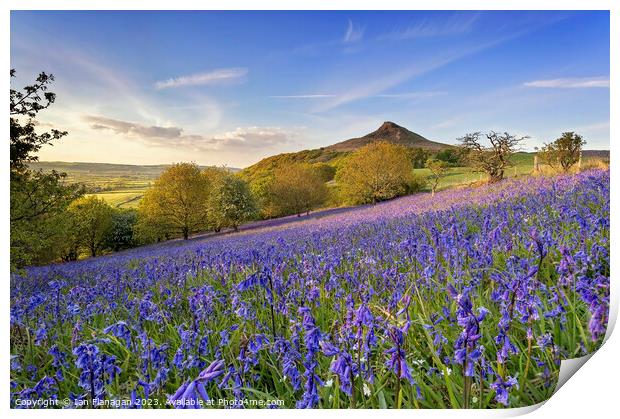 Bluebells Bloom on Roseberry Topping Print by Ian Flanagan