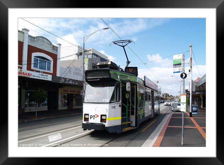 Melbourne Tram Framed Mounted Print by Stephen Hamer