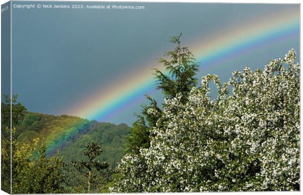 Rainbow over the Trees Talybont Valley  Canvas Print by Nick Jenkins