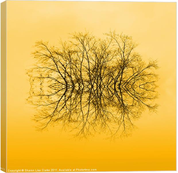 Branches Canvas Print by Sharon Lisa Clarke