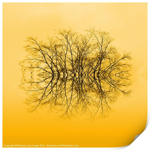 Branches Print by Sharon Lisa Clarke