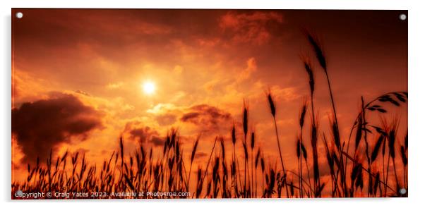 The Beginning of Sunset. Acrylic by Craig Yates