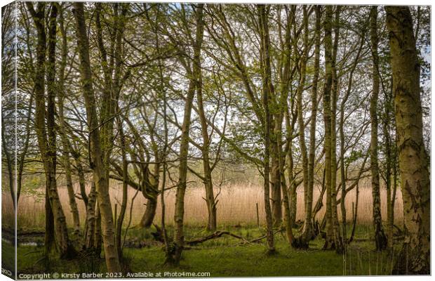 Trees In Dunwich Forest Canvas Print by Kirsty Barber