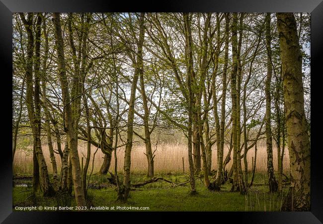 Trees In Dunwich Forest Framed Print by Kirsty Barber