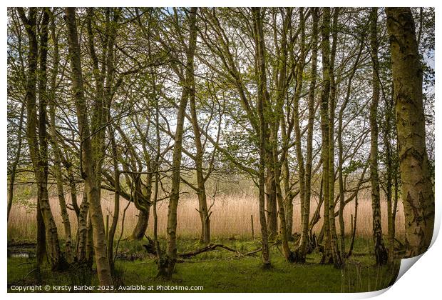 Trees In Dunwich Forest Print by Kirsty Barber