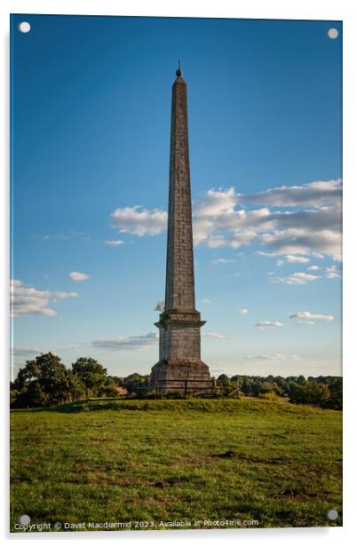 Umberslade Obelisk Acrylic by David Macdiarmid