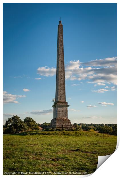 Umberslade Obelisk Print by David Macdiarmid
