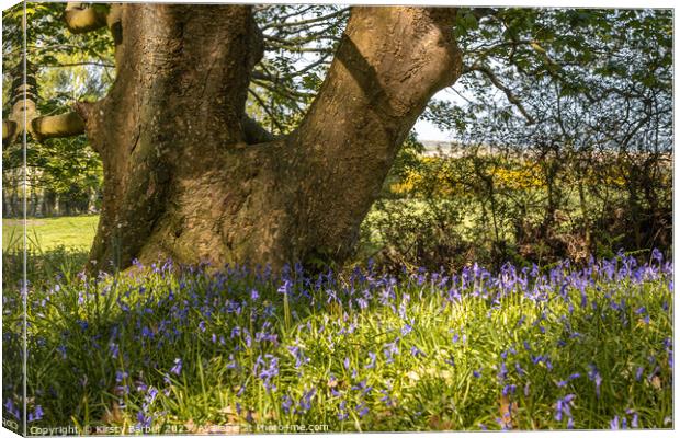 Tree Trunk In Field of Bluebells  Canvas Print by Kirsty Barber