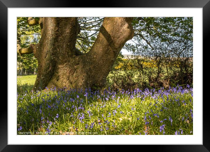 Tree Trunk In Field of Bluebells  Framed Mounted Print by Kirsty Barber