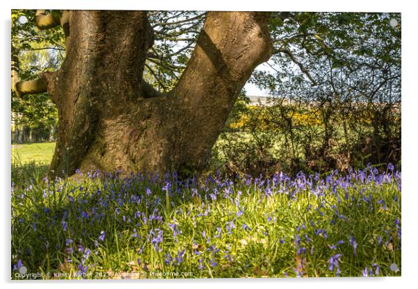Tree Trunk In Field of Bluebells  Acrylic by Kirsty Barber