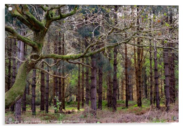 Tress in Dunwich Forest  Acrylic by Kirsty Barber